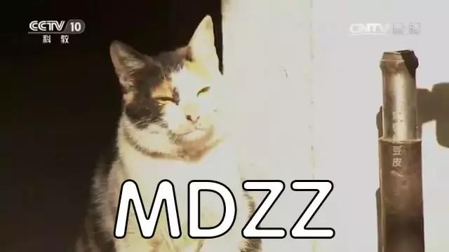 创业致富小技巧,创业致富的三种方法