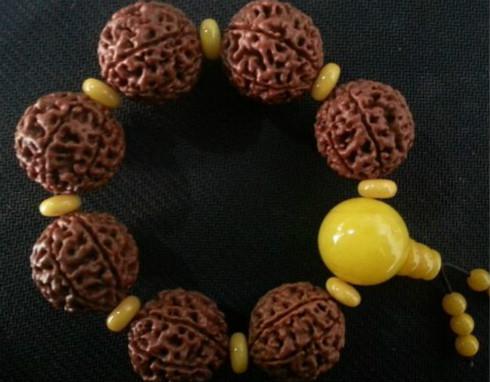 假金刚菩提落地红,小金刚菩提和落地红的区别