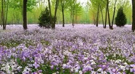 定个小目标100天,定个小目标完整版