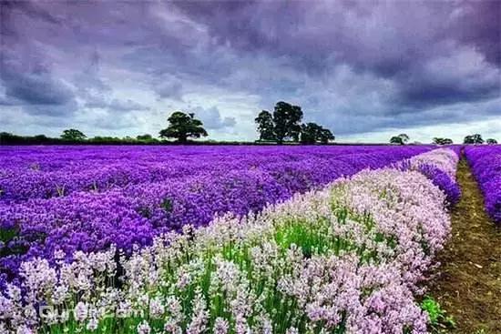 韩国滨海新区,韩国和滨海新区