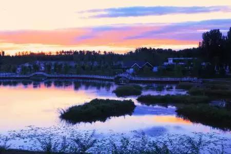 定个小目标100天,定个小目标完整版