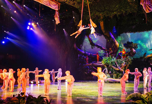 每个人心里都有一个迪士尼的梦想,每个人都有一个迪士尼公主梦