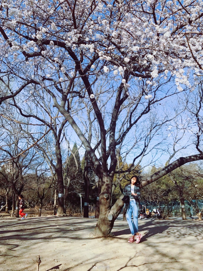 刘雯polo衫蝴蝶结,刘雯的时尚穿搭推荐