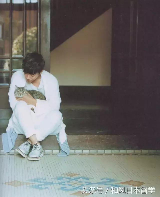 佐藤健在日本女性心中的地位,佐藤健颜值巅峰图片