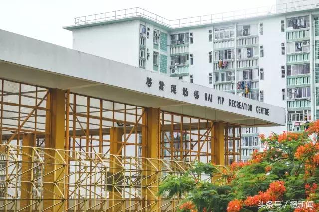 棣欐腐琛楀満绡悆瑙嗛,鎵撻亶骞夸笢鐞冨満