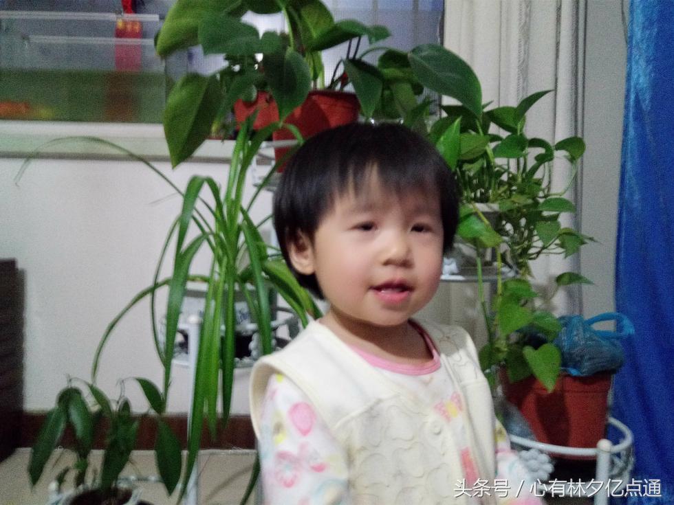 1600万全景摄像头,1600万前置摄像头好用吗