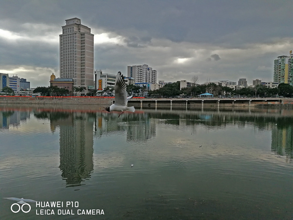 华为p10徕卡双摄怎么用,华为p10徕卡照相技巧