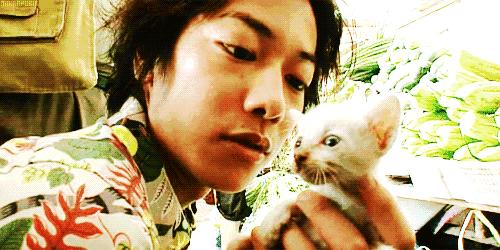 佐藤健颜值评价,佐藤健在日本颜值排名