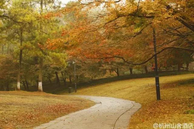 杭州旅游攻略酒店住宿三天两晚,杭州旅游攻略住宿排名
