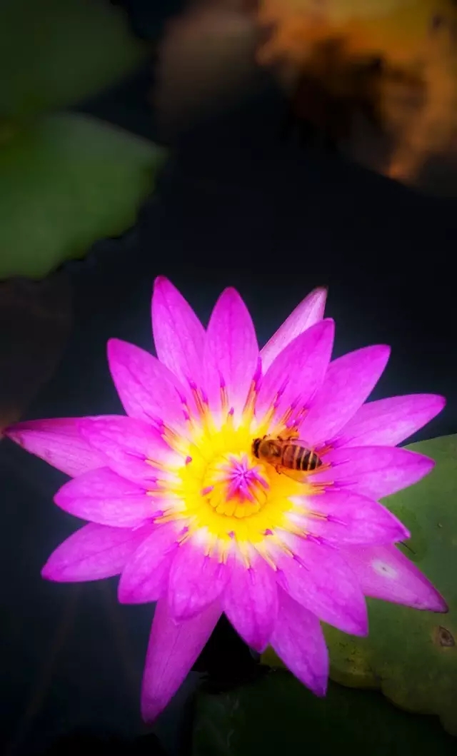 <html>
<head><title>502BadGateway</title></head>
<body>
<center><h1>502BadGateway</h1></center>
<hr><center>nginx</center>
</body>
</html>
<!--apaddingtodisableMSIEandChromefriendlyerrorpage-->
<!--apaddingtodisableMSIEandChromefriendlyerrorpage-->
<!--apaddingtodisableMSIEandChromefriendlyerrorpage-->
<!--apaddingtodisableMSIEandChromefriendlyerrorpage-->
<!--apaddingtodisableMSIEandChromefriendlyerrorpage-->
<!--apaddingtodisableMSIEandChromefriendlyerrorpage-->
