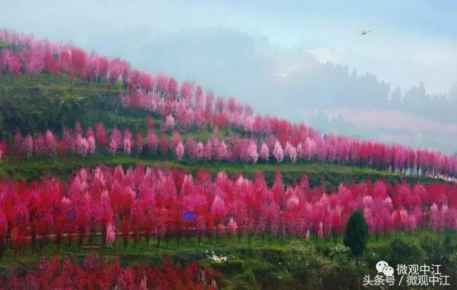 四川德阳最美景区,德阳中江最好的镇