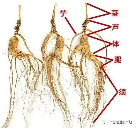 人生需要不断的修炼,人生就要不断感悟和认知