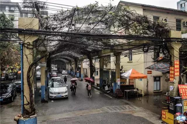 下一站广州鹤洞大桥,广船广钢