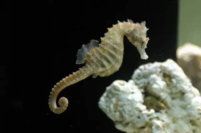 杭州极地海洋游玩图,杭州极地海洋世界旅游攻略