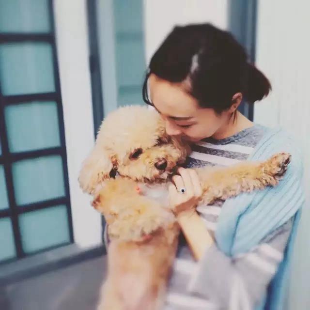 张欣丨厚斋不是民宿,它是诗和远方