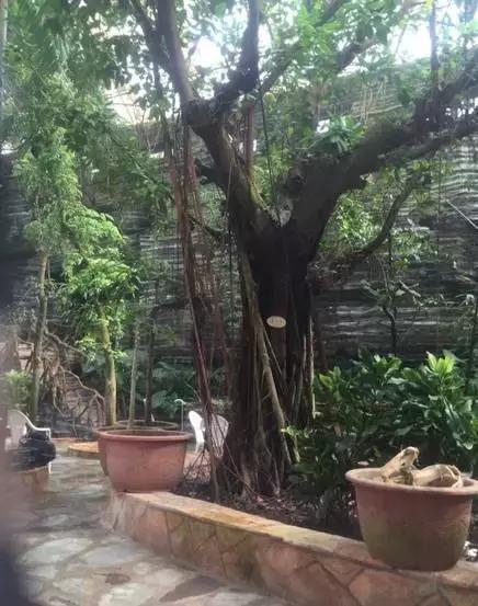 适合冬天一起泡的温泉,一起泡温泉的奢侈享受