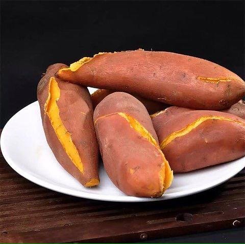 白富美养成记游戏,白富美养成手册