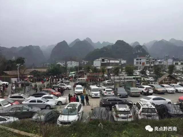 贵州万峰林油菜花怎么玩,贵州万峰林最美油菜花视频