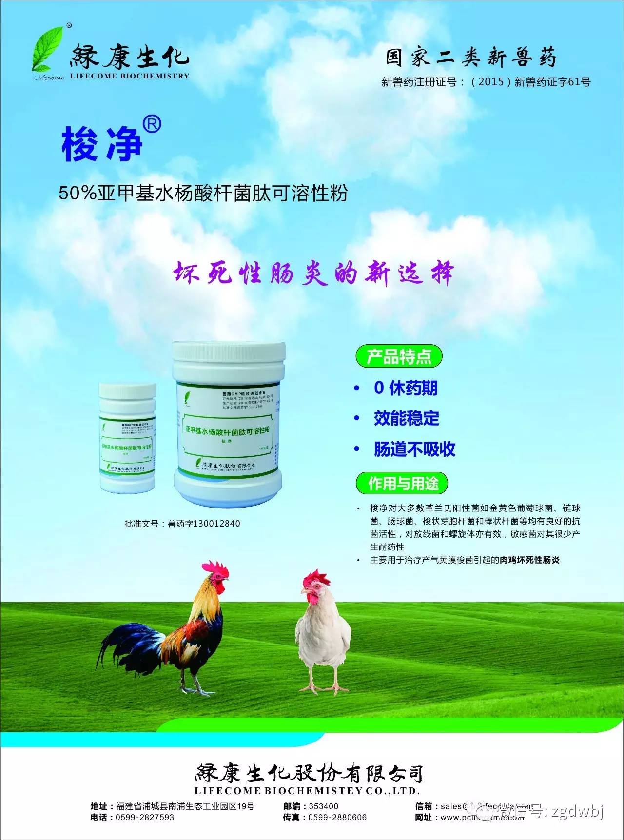 鸡的啄肛癖怎么治,鸡啄癖症