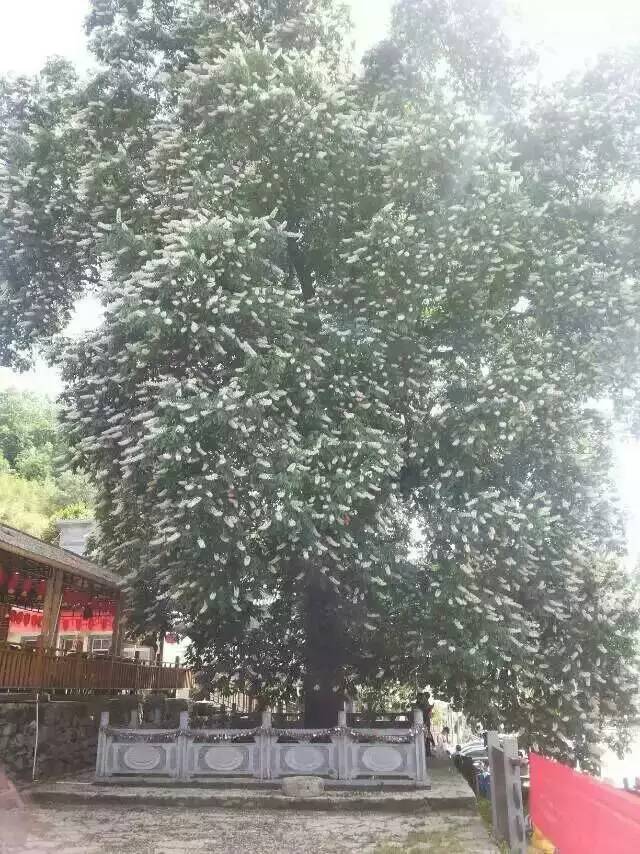 栾川游览图,栾川风景航拍