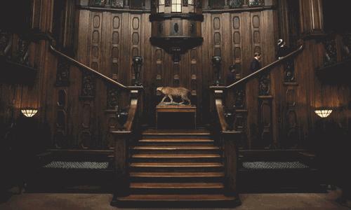 布达佩斯大饭店深度解析,布达佩斯最贵酒店