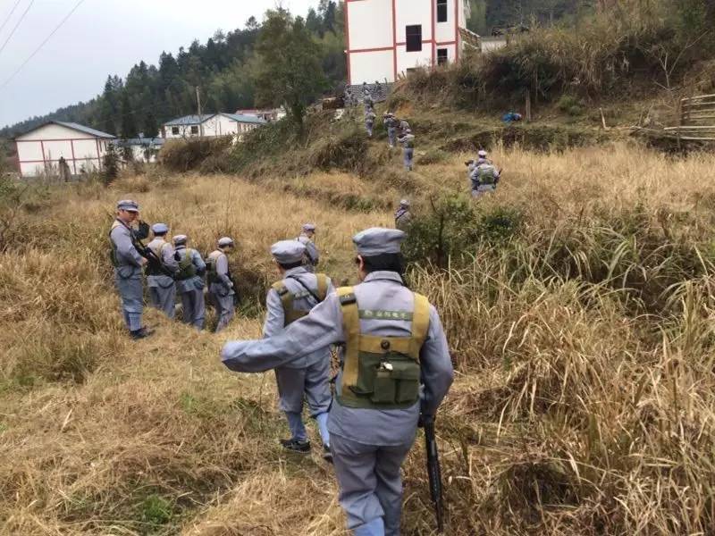 红色经典课程推荐,红色课程有哪些