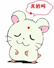 广东哪里的花海最美五月,肇庆德庆盘龙峡薰衣草