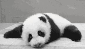 不用姨妈巾用什么,不用姨妈巾应该用什么