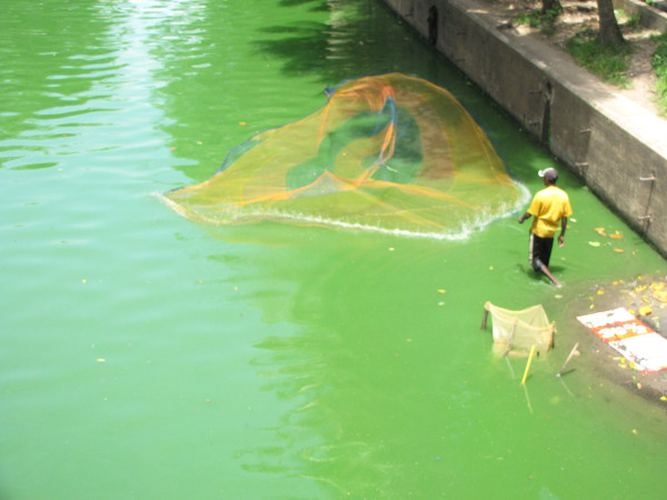 斯里兰卡个人旅游攻略,斯里兰卡华人旅游攻略视频