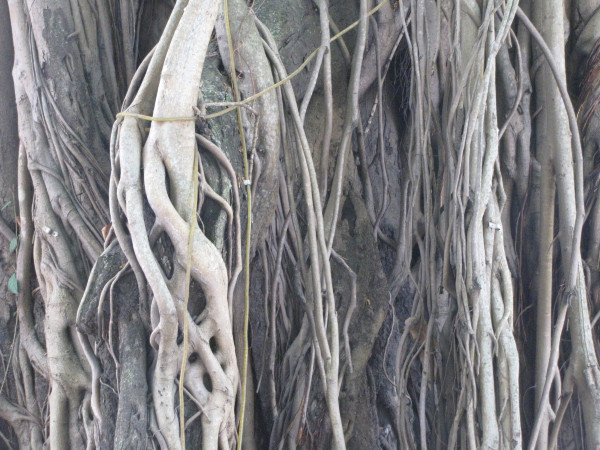 斯里兰卡旅游攻略,斯里兰卡旅游攻略是什么