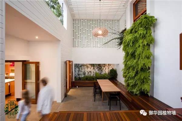 禅意风植物墙,特色植物墙