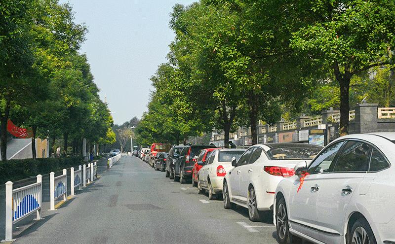 滨江到底是哪里,滨江是一条江吗