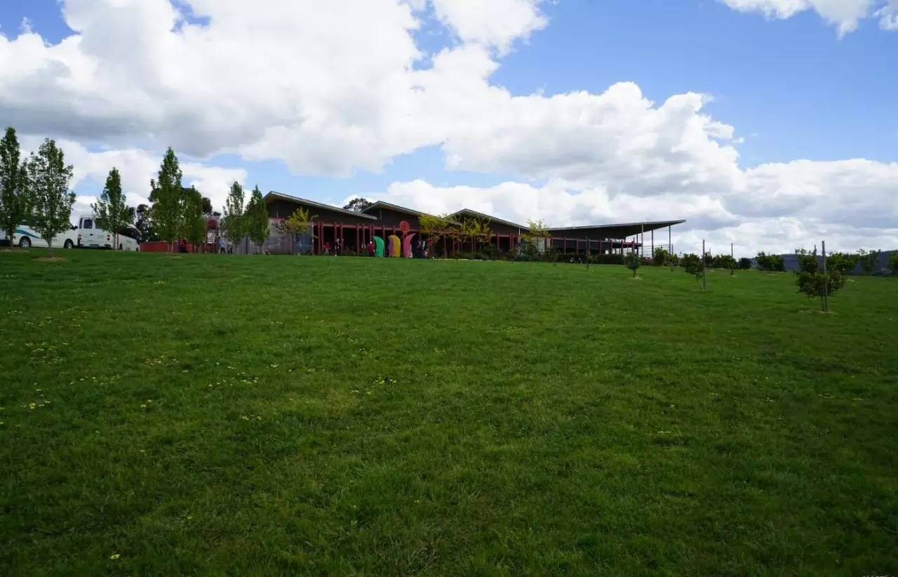 图说：在澳洲的日常（2）｜陈秋平