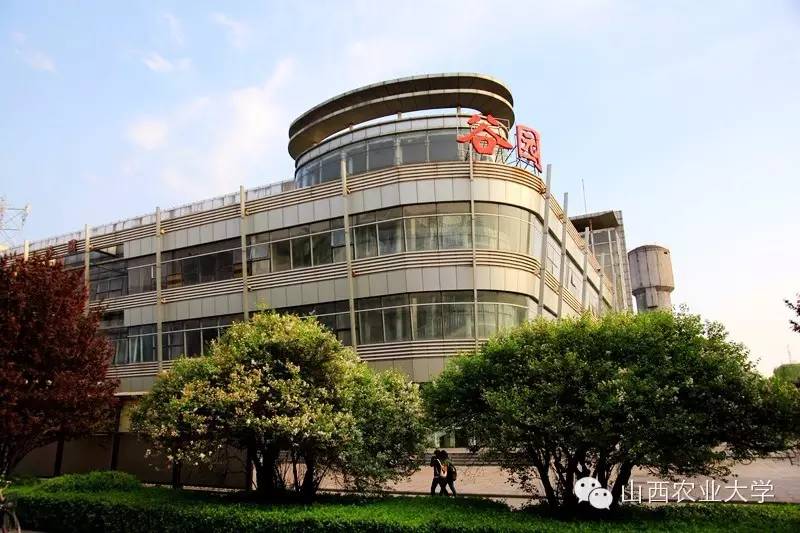 三个月后，这个故事将迎来大结局