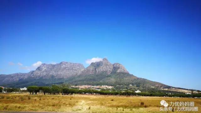 麻麻，为什么不能带我去非洲！