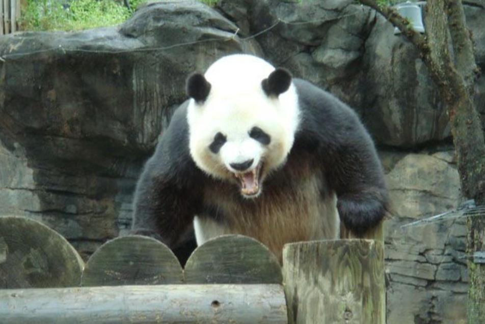 长沙是男足和男篮的福地,中国长沙篮球足球福地