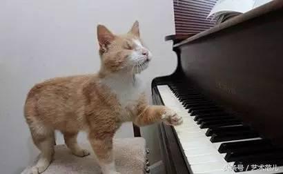 国足赢了教练反应,国足赢了教练的反应