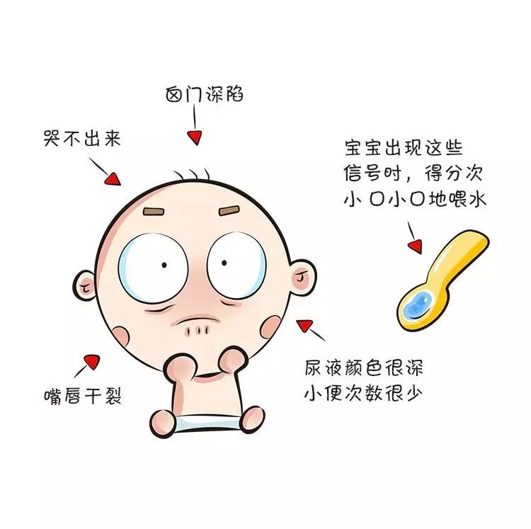 宝宝6个月内绝对不能喝水,为什么六个月以内的宝宝不让喝水