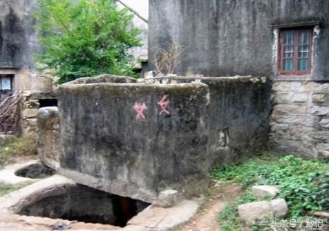 一间农村厕所，咋就能吓走一批城市娃？