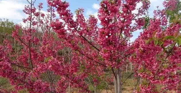 吃鲟鱼、泡温泉、赏美景、玩陶艺···完美周末就这么简单！