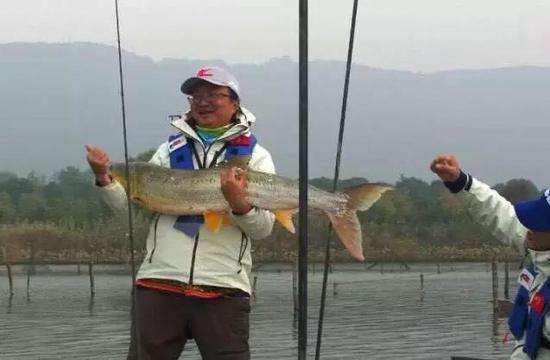 如何选择钓竿钓鱼,钓鱼新手适合用什么钓竿