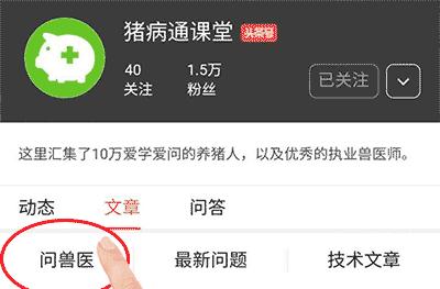 母猪发情时间不同，怎样确定配种时间？