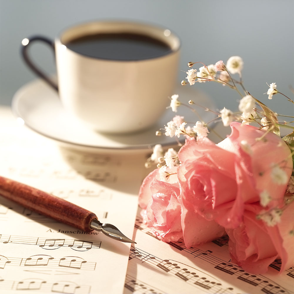 听说你也回来过完整 (听说你曾经回来过)