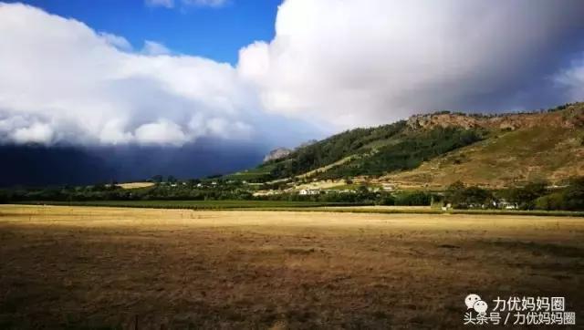 麻麻，为什么不能带我去非洲！