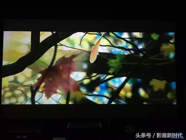 完美解毒分享：先锋LX901+SVSsb12-nsd（下）