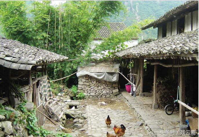 老宅摇摇欲坠，家蛇盘梁报恩，孽子活取蛇胆，遭报应终被屋梁压死