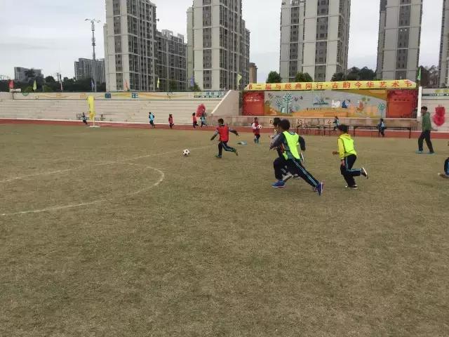 广东足球学校有哪几所,肇庆有国家重点学校吗