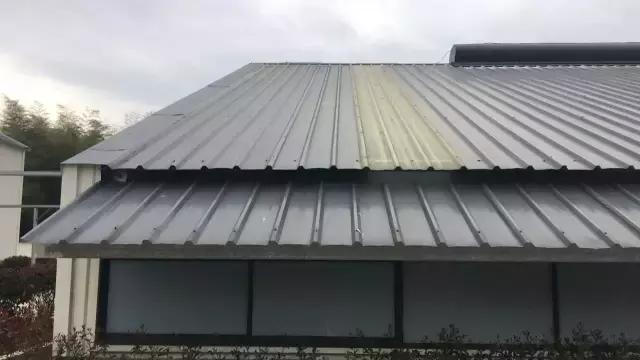 150万人围观网易养猪场，空气有安缦酒店的感觉，猪尿竟然能喝