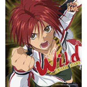 网球王子中的最强角色,网球王子前十名选手