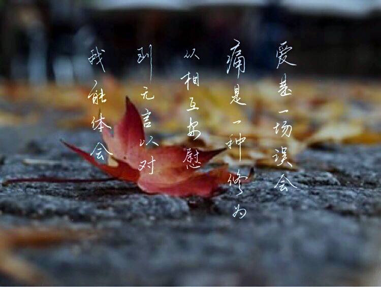 你就是我的青春完整版,你就是我的青春